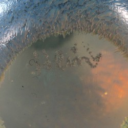 Szklany kręgiel przycisk Heinz Piechotta