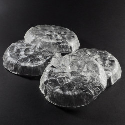 Talerzyki paterki Hoya Japan Ice-Bark