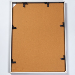 Grafika kolorowa litografia tulipany Arnold Hagstrom