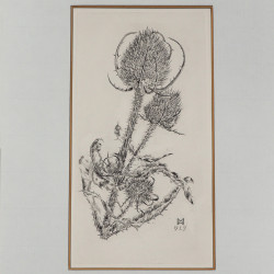 Grafika litografia Osty Herbert Molwitz